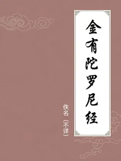 金有陀罗尼经