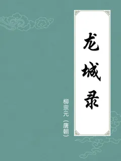 龙城录